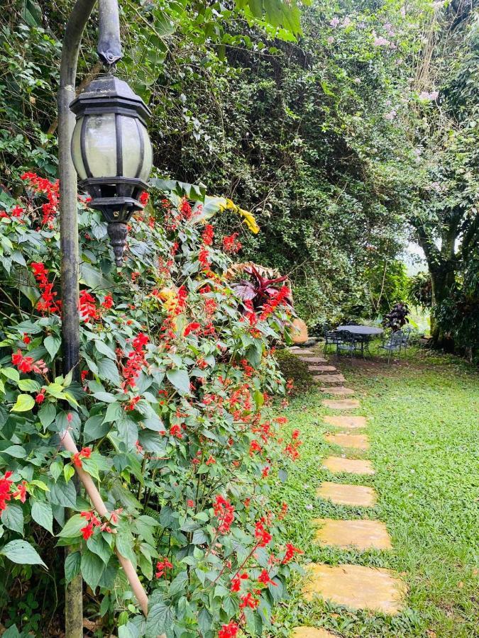 Finca Hotel Los Girasoles Montenegro Buitenkant foto