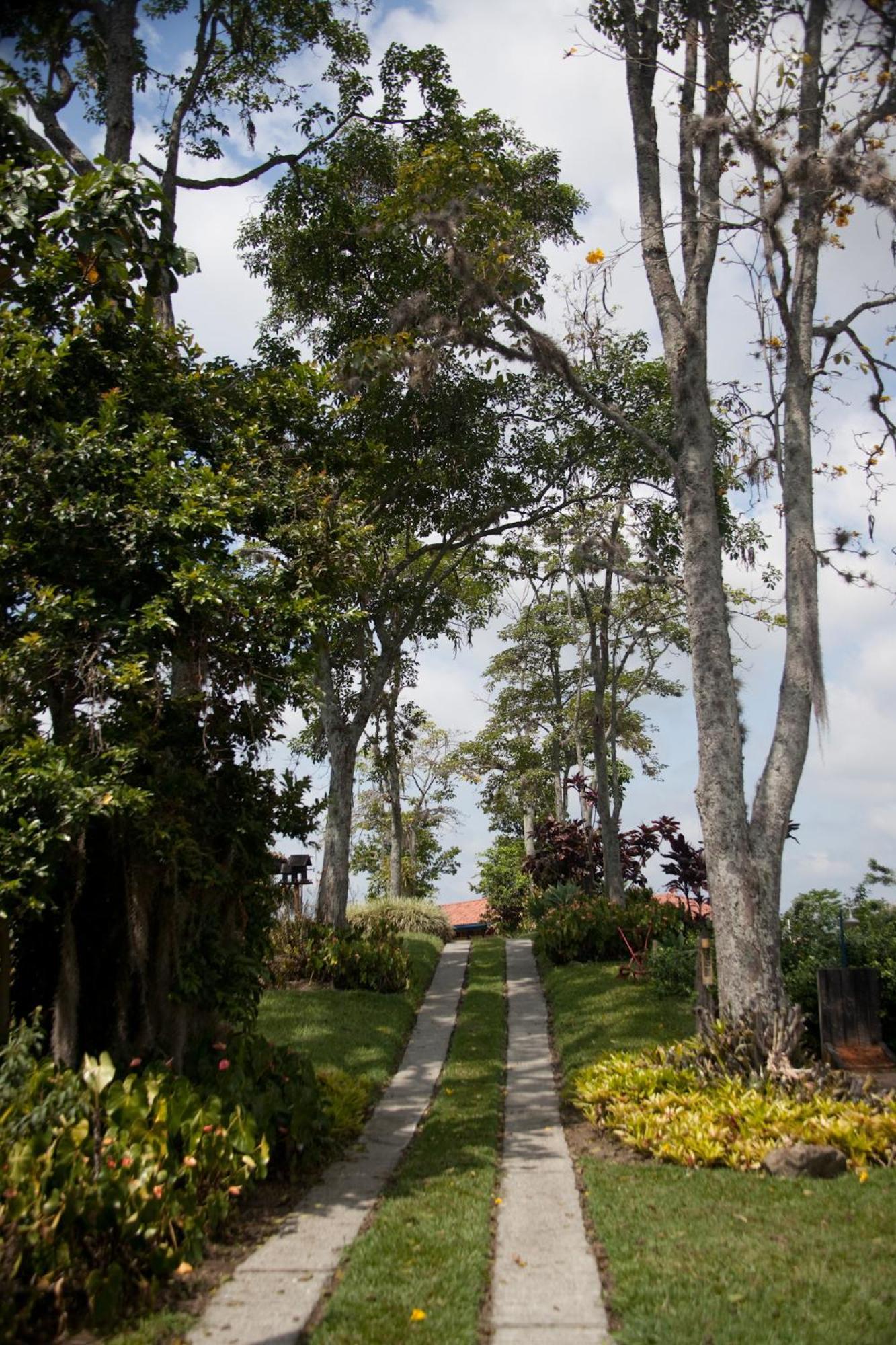 Finca Hotel Los Girasoles Montenegro Buitenkant foto